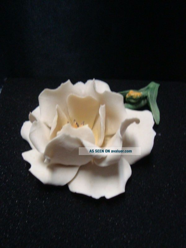 Vintage Capodimonte White Rose Made In Italy Marked | #38206806